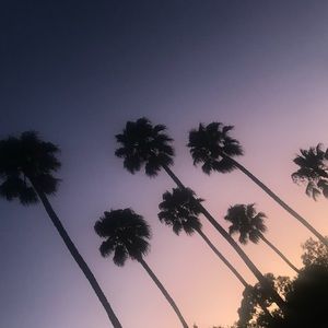 Meet your Posher, villaana582